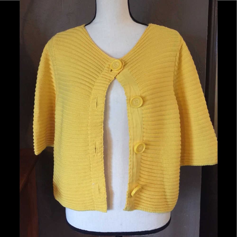 Ann Taylor Loft Sweater